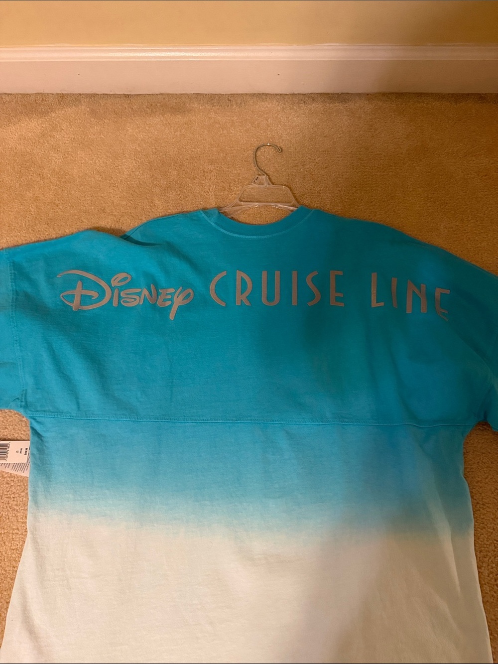 Disney Cruise Line 25th anniversary spirit jersey - Picture 4 of 4